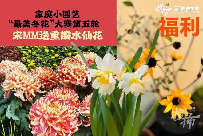 王茶姬动物手机支架……橙柿超多福利送送送爱游戏app时髦人都有的巴拉克拉法帽、霸(图2)