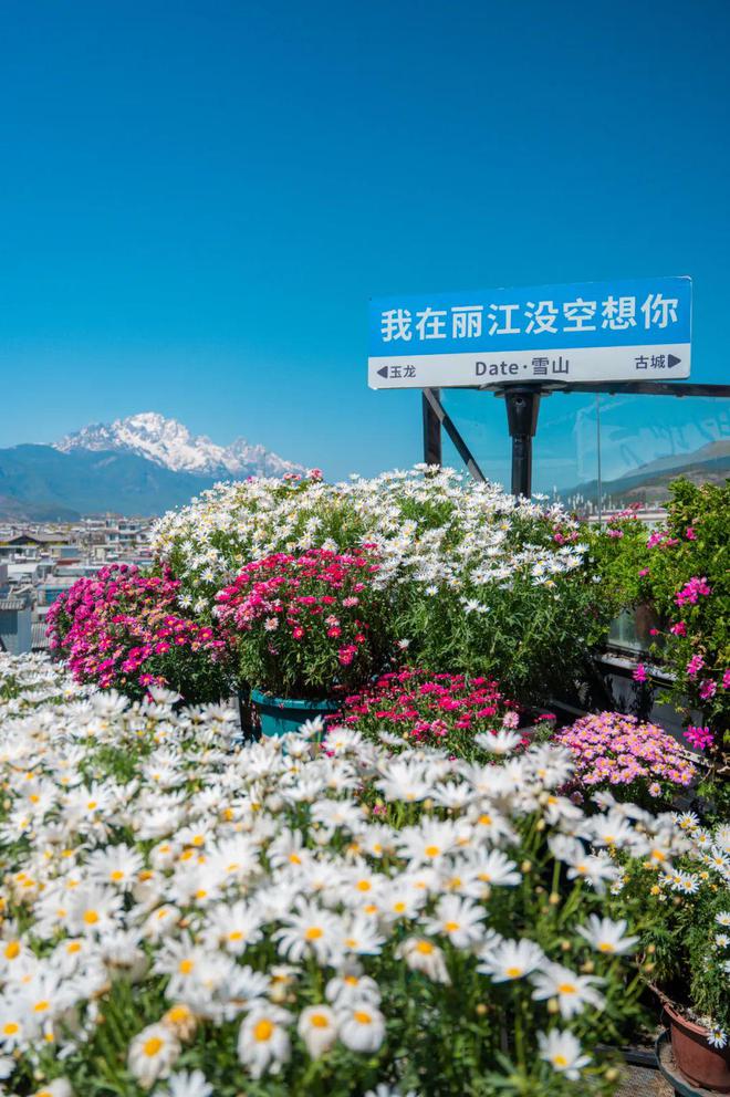 庆美女嫁到丽江后竟拿屋顶来赚钱！AYX爱游戏APP【读本头条】重(图19)