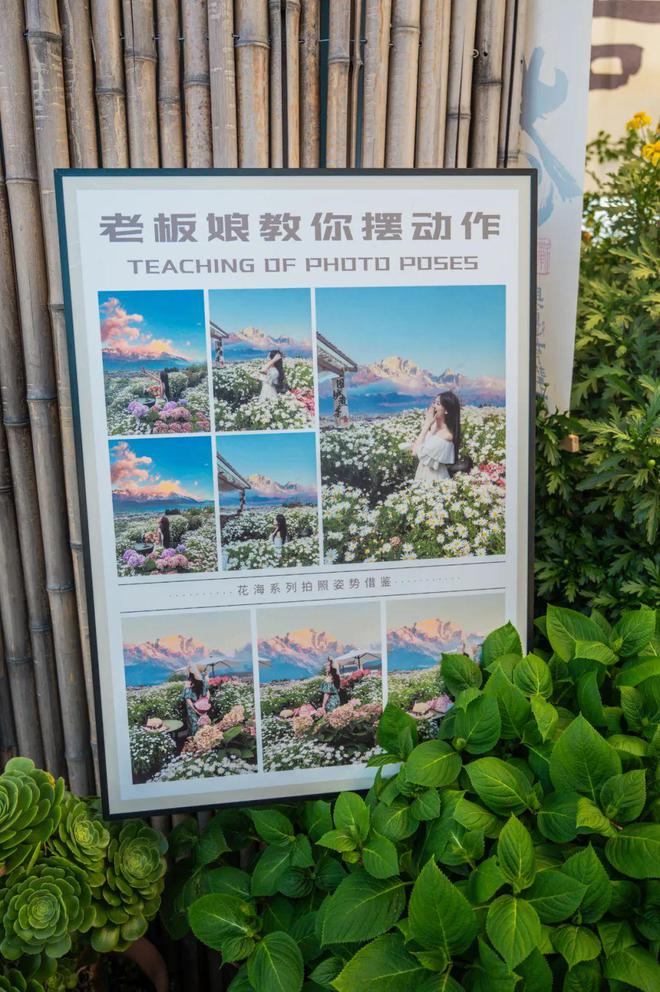 庆美女嫁到丽江后竟拿屋顶来赚钱！AYX爱游戏APP【读本头条】重(图24)